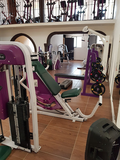 THE POWER HOUSE GYM