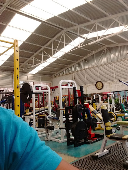 GYM ESPARTACO