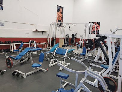 Leg's Gym