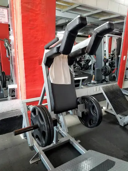 ESCORPION GYM