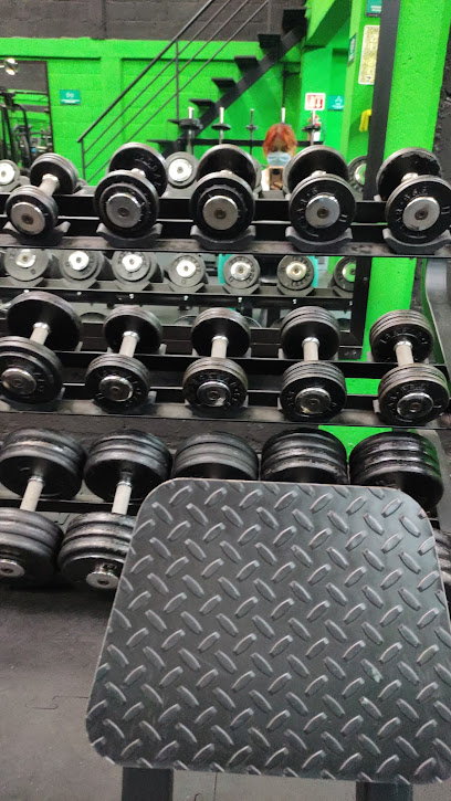 GIMNASIO OXYGEN CENTER