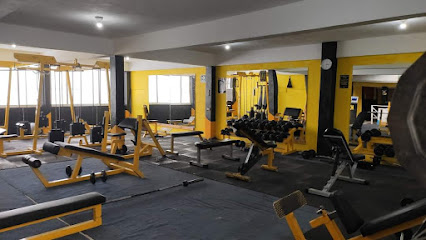 Monkeys Gym
