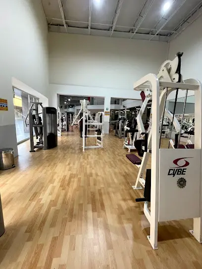 All-Sport - Family Fitness
