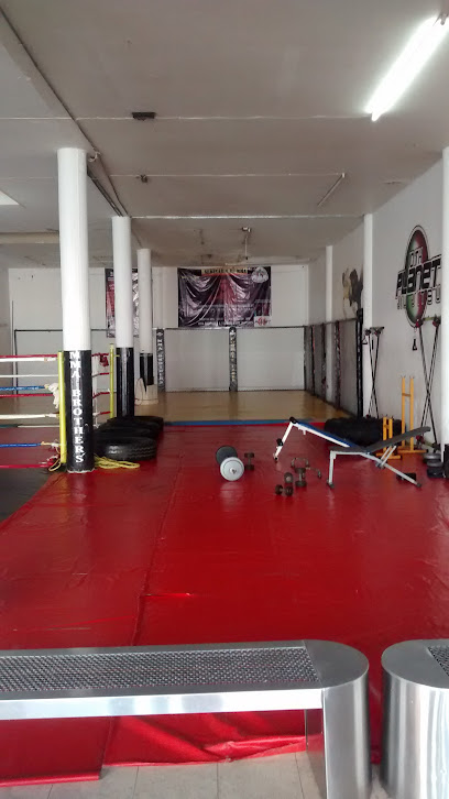 MMA Brothers Combate Libre Academia