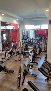 Estudio Cuilty