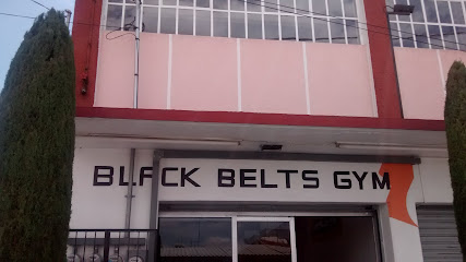 Black Belts Gym
