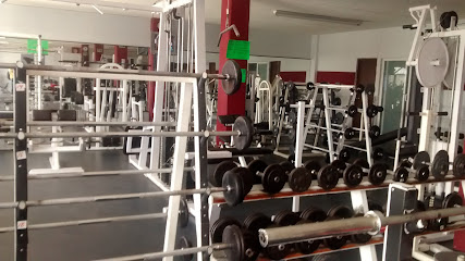 MONKEY POWER-GYM SANTA ANA T.
