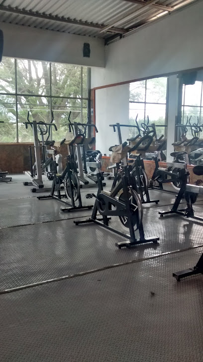 Sandy's Gym Scort's