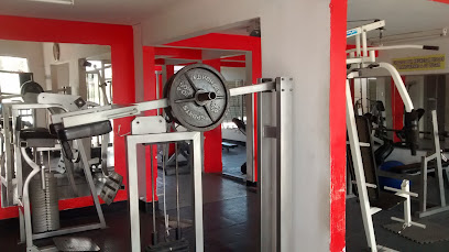 Iron Training Gym