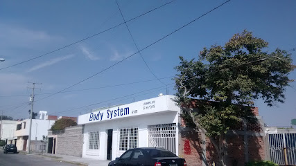 Body System