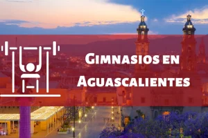 Gimnasios en el Estado de Aguascalientes