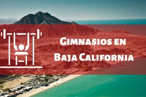 Gimnasios en el Estado de Baja California