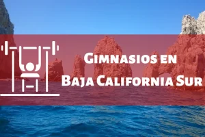 Gimnasios en el Estado de Baja California Sur