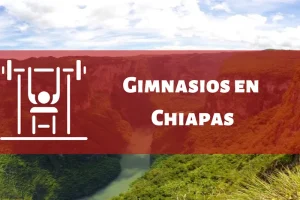 Gimnasios en el Estado de Chiapas