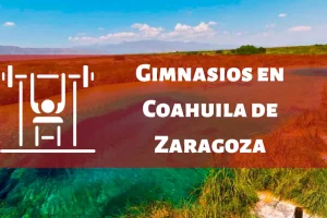 Gimnasios en el Estado de Coahuila de Zaragoza