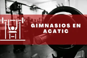 Gimnasios en Acatic