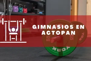 Gimnasios en Actopan