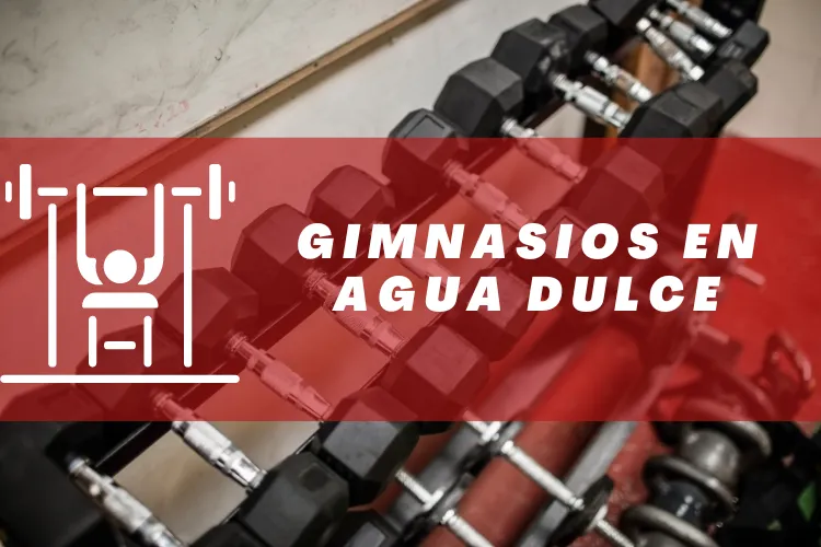 Gimnasios en {municipio(municipio}