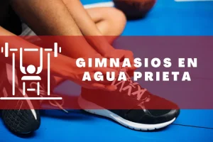 Gimnasios en Agua Prieta