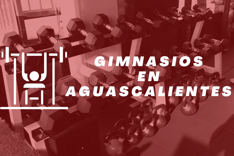 Gimnasios en {municipio(municipio}