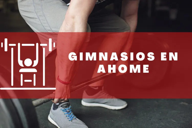 Gimnasios en {municipio(municipio}