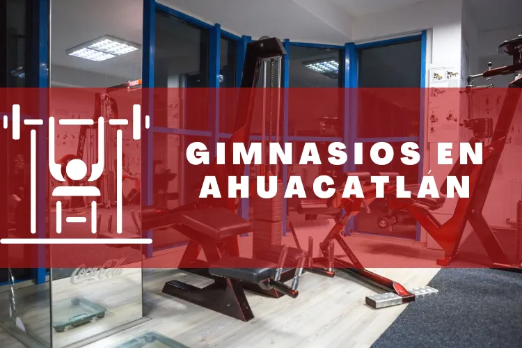 Gimnasios en {municipio(municipio}