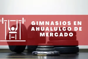 Gimnasios en Ahualulco de Mercado