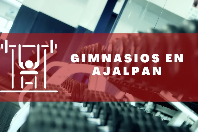 Gimnasios en {municipio(municipio}