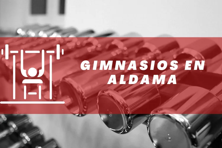 Gimnasios en {municipio(municipio}