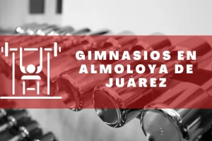 Gimnasios en Almoloya de Juárez