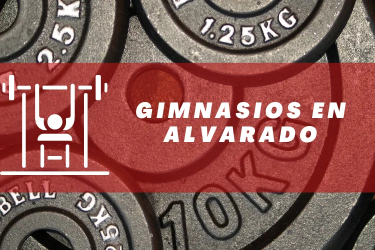 Gimnasios en {municipio(municipio}