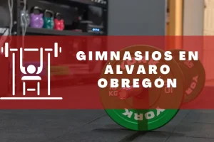 Gimnasios en Álvaro Obregón