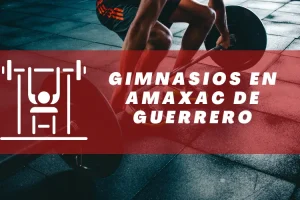 Gimnasios en Amaxac de Guerrero