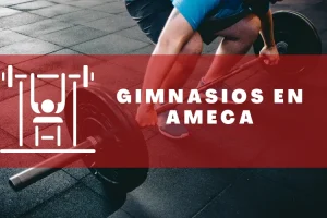 Gimnasios en Ameca