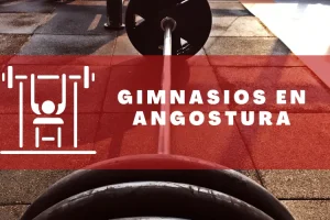 Gimnasios en Angostura