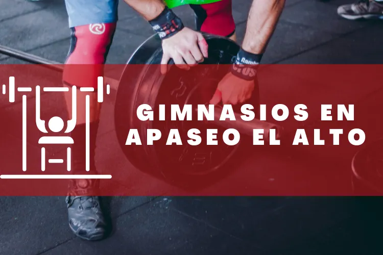 Gimnasios en {municipio(municipio}