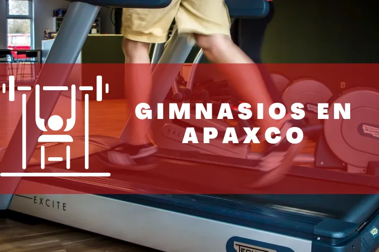 Gimnasios en {municipio(municipio}