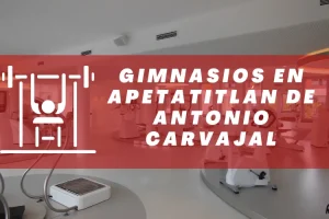 Gimnasios en Apetatitlán de Antonio Carvajal