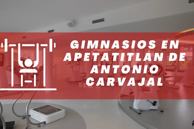 Gimnasios en {municipio(municipio}