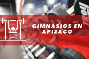 Gimnasios en Apizaco