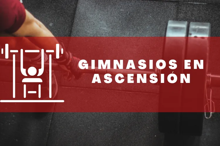 Gimnasios en {municipio(municipio}