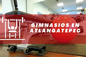 Gimnasios en Atlangatepec