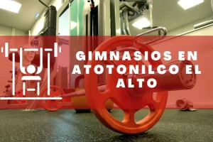 Gimnasios en Atotonilco el Alto