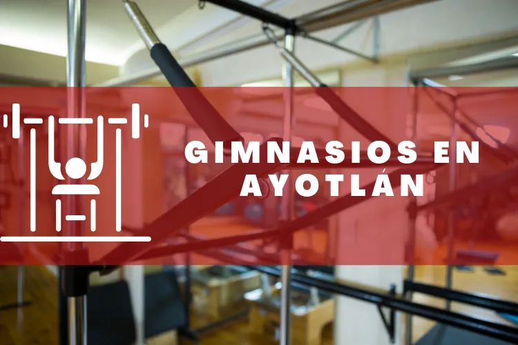 Gimnasios en {municipio(municipio}