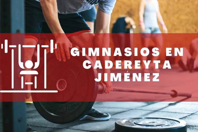 Gimnasios en {municipio(municipio}