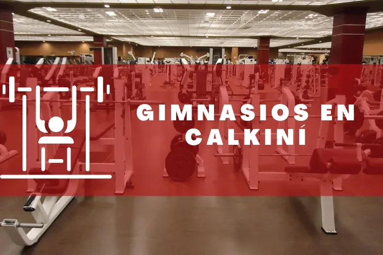 Gimnasios en {municipio(municipio}