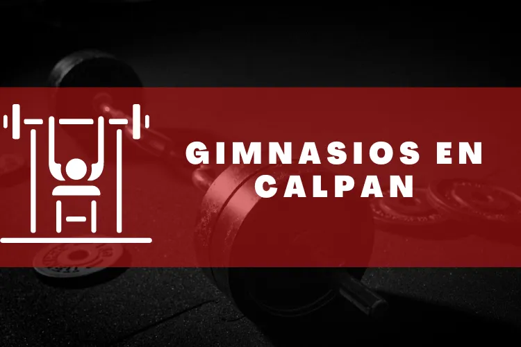 Gimnasios en {municipio(municipio}