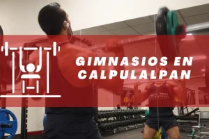 Gimnasios en Calpulalpan