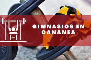 Gimnasios en Cananea