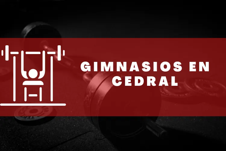 Gimnasios en {municipio(municipio}